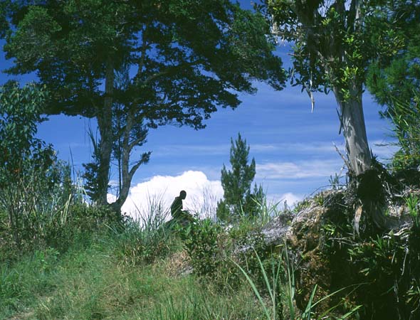 Indonesia2004-03.jpg (75811 bytes)