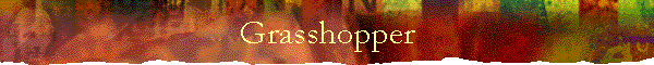 Grasshopper