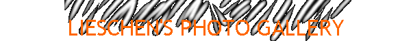 LIESCHEN'S PHOTO GALLERY