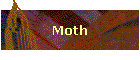 Moth